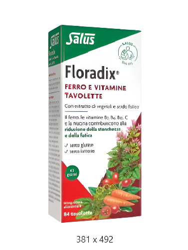 Dietpharm Floradix tablete