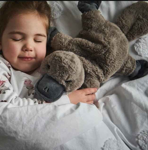 Warmies Plush toy for soothing warmth or refreshing cooling - Amazing platypus